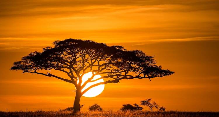 Kenia y Tanzania: Aventura definitiva en un safari de lujo - Professional Safari Africa 6