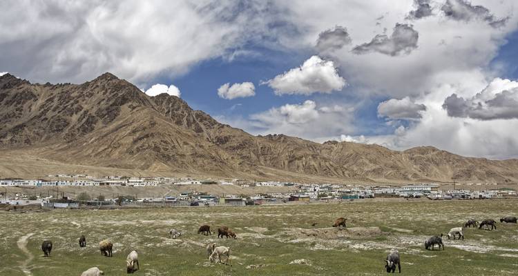 Tadjikistan - Kirghizistan : Pamir Highway - Voyage privé guidé - Ventus Touristik GmbH 6