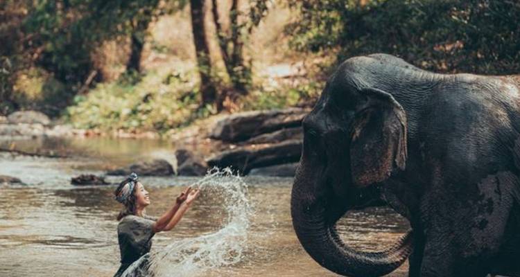 7 jours Bangkok & Phuket Honeymoon Tour (guide privé et chauffeur）) - UME Travel Co. Ltd 6