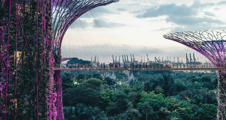 Points forts de la Malaisie et de Singapour - Voyage privé guidé - Ventus Touristik GmbH 4