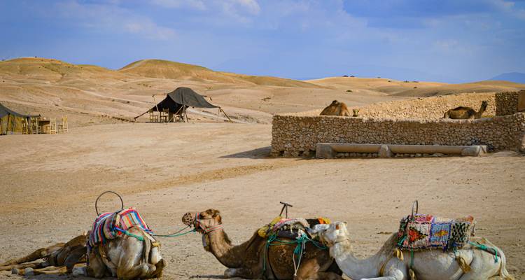 Maroc : Escapade au Sahara - UniTrips 3
