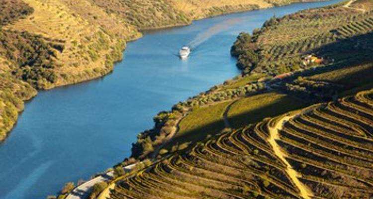 Porto and the Douro Valley (port-to-port cruise) - MIGUEL TORGA (5 destinations) - CroisiEurope River Cruises 5