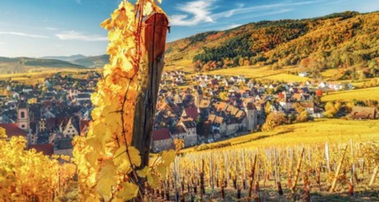 Alsacia: tierra de tradición y gastronomía (crucero puerto a puerto) - L Europe (from Estrasburgo to Obernai) - CroisiEurope River Cruises 5
