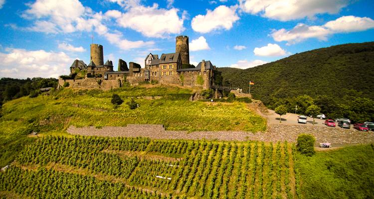 Vue panoramique d'un château sur une colline avec des vignobles et un ciel bleu.