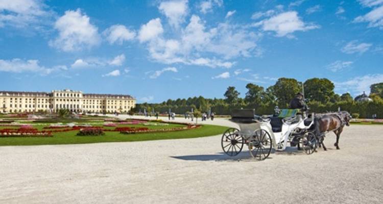 Crucero por el Corazón de Europa, del Rin al Danubio - CroisiEurope River Cruises 1