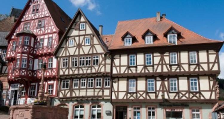 Cruise through the Heart of Europe from the Rhine to the Danube (from Mainz to Strasbourg) - CroisiEurope River Cruises 3