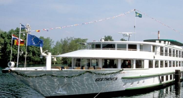 Rhineland Christmas on the Romantic Rhine (port-to-port cruise) - MODIGLIANI - CroisiEurope River Cruises 4