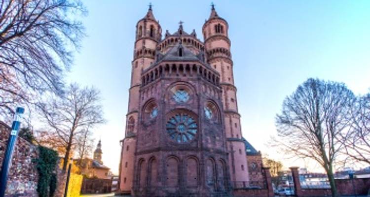Crucero único por los ríos Rin y Neckar (crucero puerto a puerto) - CroisiEurope River Cruises 3