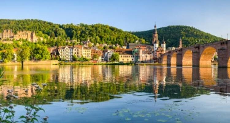Cuatro ríos, cuatro valles - Lo mejor de los ríos Sarre, Mosela, Neckar y Rin (crucero puerto a puerto) - CroisiEurope River Cruises 7