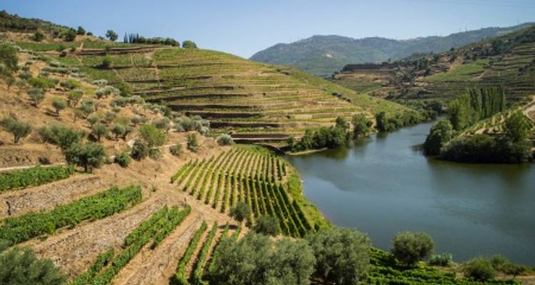 Porto et la vallée du Douro - MIGUEL TORGA - CroisiEurope River Cruises 7