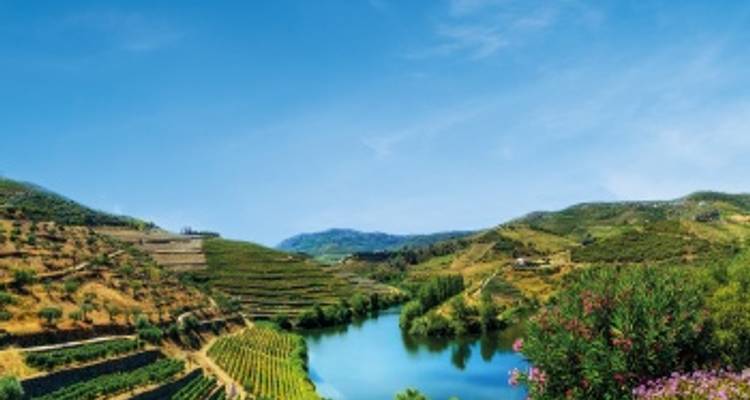 De Portugal a España: Oporto, el Valle del Duero (Portugal) y Salamanca (España) - Vasco de Gama - CroisiEurope River Cruises 10