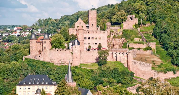 Excursion à vélo sur le Main de Bamberg à Francfort - Terranova Touristik 1