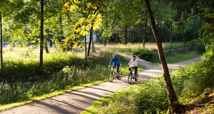 Excursion à vélo sur le Main de Bamberg à Francfort - Terranova Touristik 4