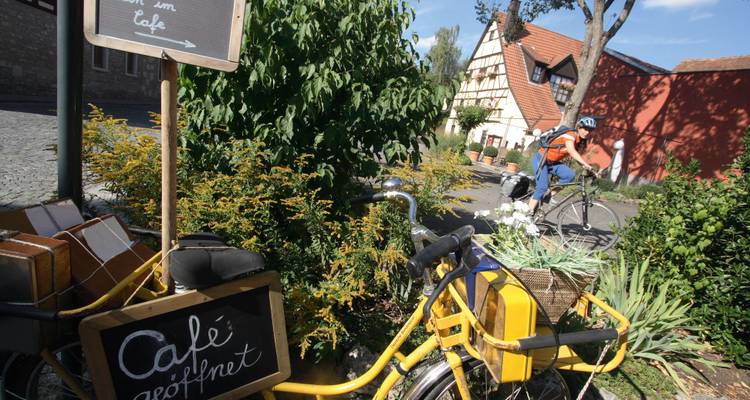 Excursion à vélo sur le Main de Bamberg à Francfort - Terranova Touristik 6