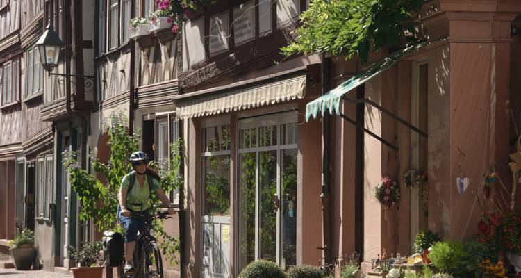 Excursion à vélo sur le Main de Bamberg à Francfort - Terranova Touristik 7