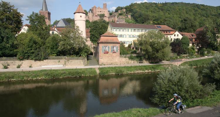 Excursion à vélo sur le Main de Bamberg à Francfort - Terranova Touristik 8