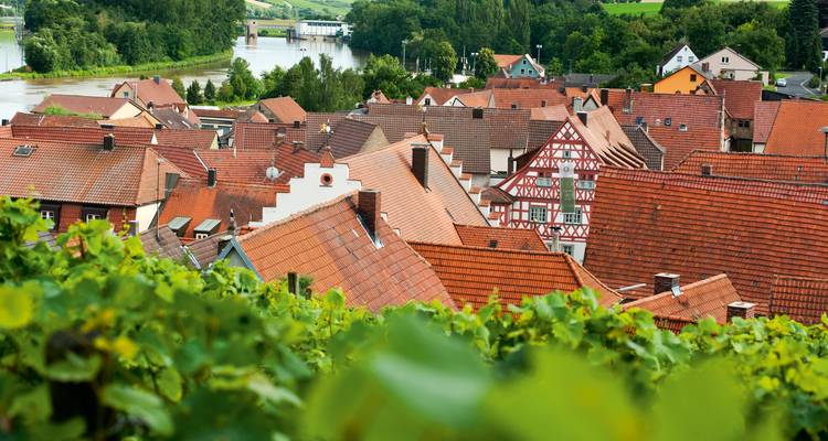 Circuit cycliste sur le Main de Würzburg à Francfort - Terranova Touristik 9
