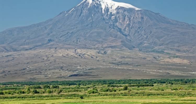 Le mont Ararat vu depuis une plaine verdoyante.