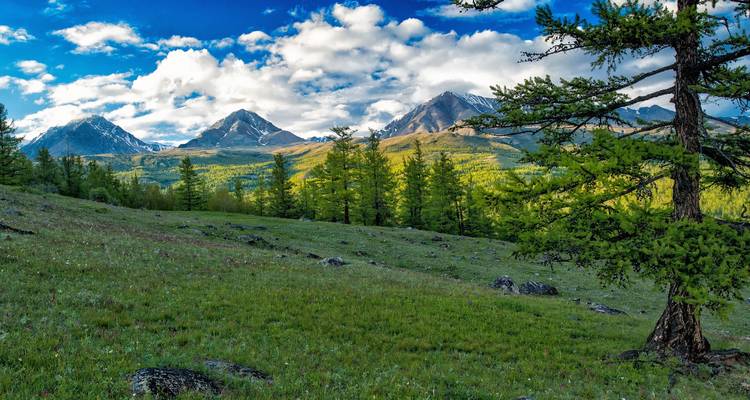 Mongolia - The Comprehensive Route - Guided Private Tour - Ventus Touristik GmbH 2
