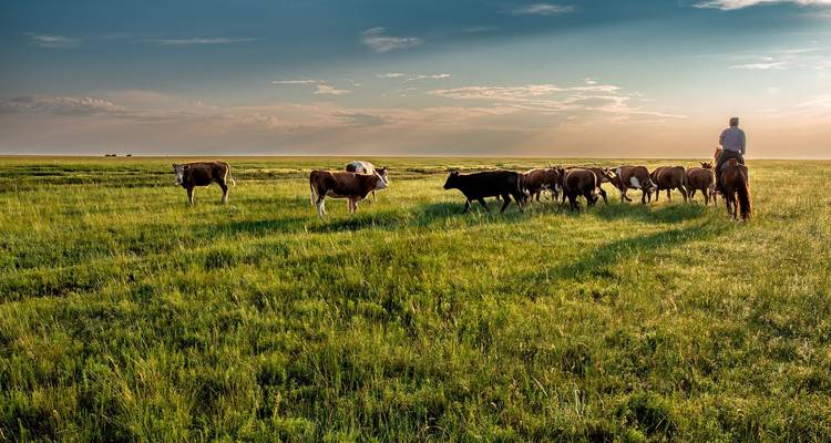 Mongolia - The Comprehensive Route - Guided Private Tour - Ventus Touristik GmbH 4