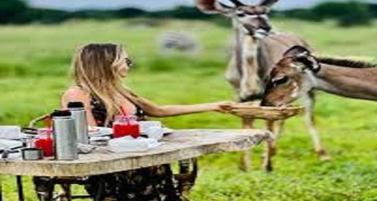 Femme assise à une table nourrissant une antilope dans un champ.