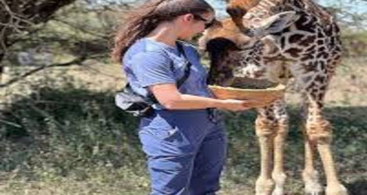 Une femme nourrit une girafe dans un cadre naturel.