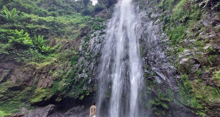 Safari en Serengeti, Ngorongoro, Tarangire (con cascadas de Materuni, excursión al café) - 6 Días - Lights on Africa Destinations & Safaris 2