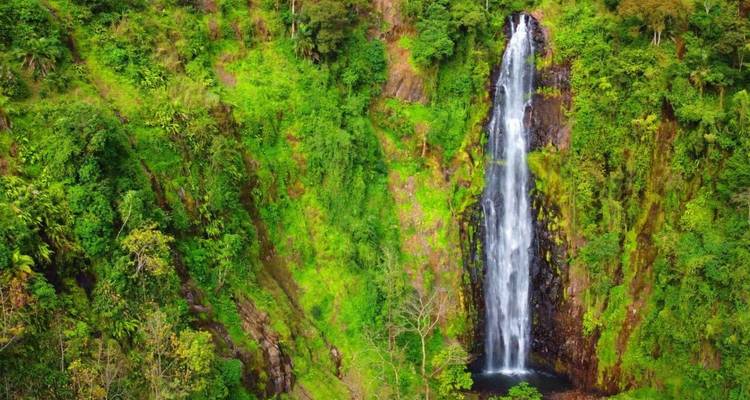 Safari en Serengeti, Ngorongoro, Tarangire (con cascadas de Materuni, excursión al café) - 6 Días - Lights on Africa Destinations & Safaris 3