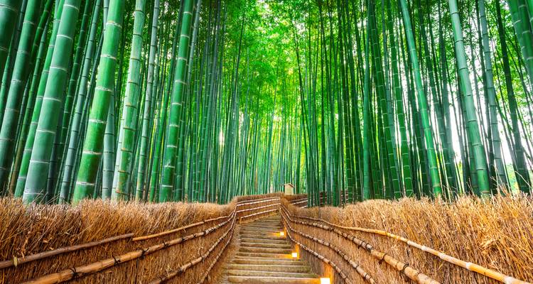 Japan Meets Korea: Rail Road Adventure & Seoul City (6 destinations) - journaway 9