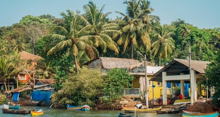 Escapada a Goa (3 noches y 4 días) - Yoganshi Travel 2