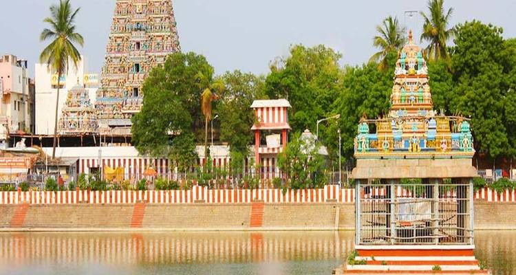 Explora el Sur Clásico de la India - Tamilnadu y Kerala - Agra Travels Service & Tours 1