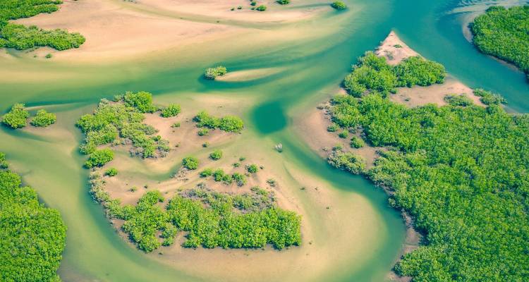 Senegal & Gambia with Casamance - Guided Private Tour - Ventus Touristik GmbH 3