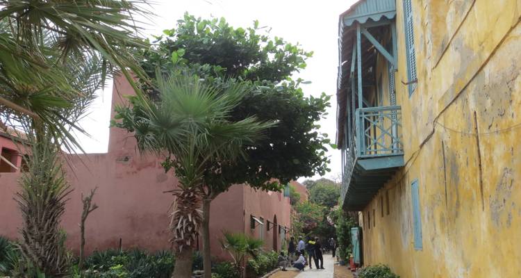 Senegal & Gambia with Casamance - Guided Private Tour - Ventus Touristik GmbH 4