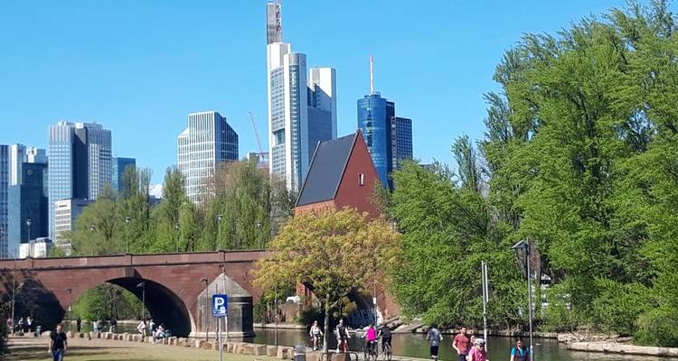Rin Romántico de Fráncfort a Colonia | Alemania | 6 días - Terranova Touristik 4