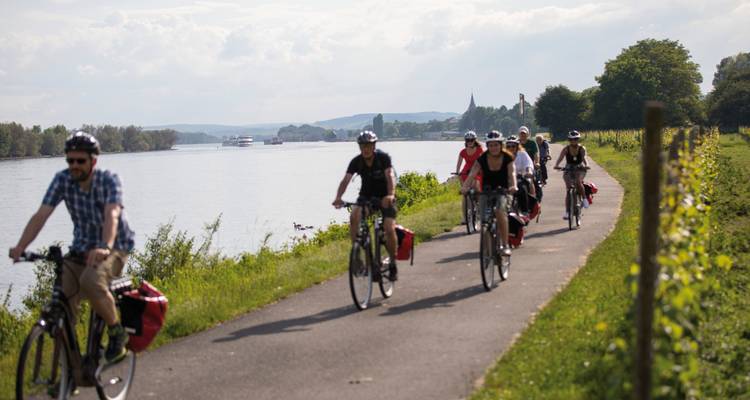 Rin Romántico de Fráncfort a Colonia | Alemania | 6 días - Terranova Touristik 6
