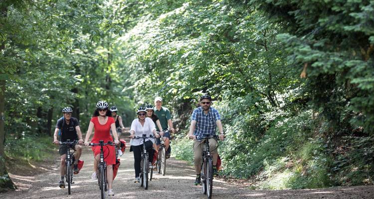 Rhin, Main et Moselle : de Francfort à Trèves| Allemagne | 7 jours - Terranova Touristik 2