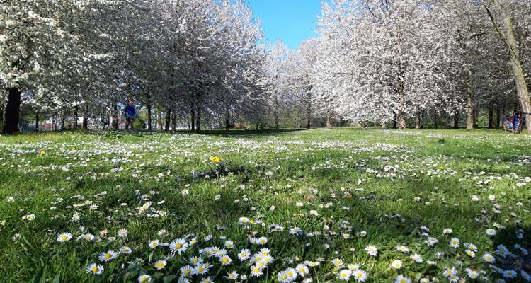 Rhin, Main et Moselle : de Francfort à Trèves| Allemagne | 7 jours - Terranova Touristik 4
