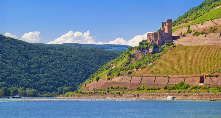 Rhin, Main et Moselle : de Francfort à Trèves | Allemagne | 8 jours - Terranova Touristik 1