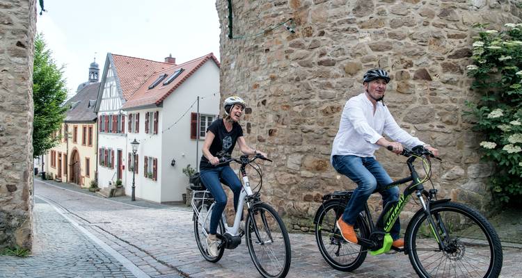 Régions viticoles du Rheingau et du Palatinat | Allemagne | 8 jours - Terranova Touristik 7