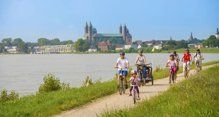 Régions viticoles du Rheingau et du Palatinat | Allemagne | 8 jours - Terranova Touristik 9