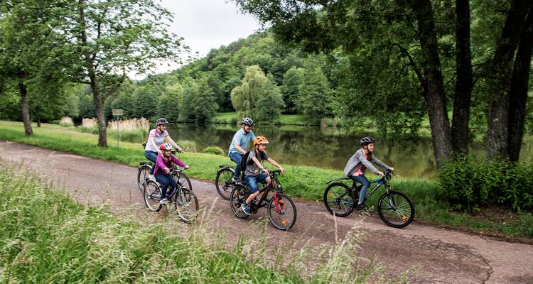 Idílico Palatinado | Alemania | 6 días - Terranova Touristik 3