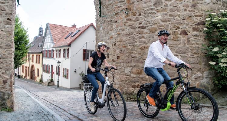 Idílico Palatinado | Alemania | 6 días - Terranova Touristik 8