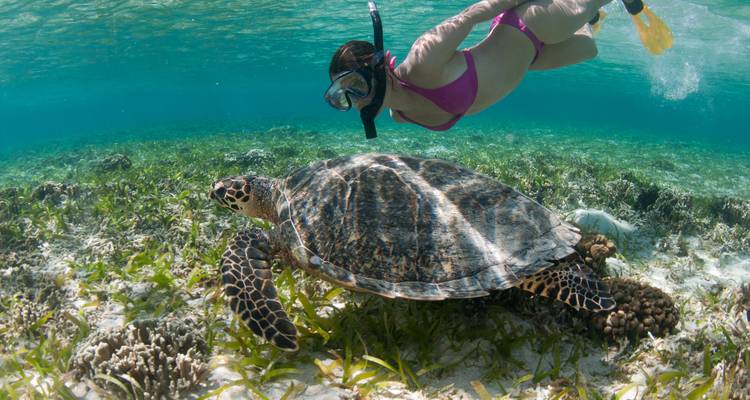 Bali, Lombok y las Islas Gili - Culture Trip 1