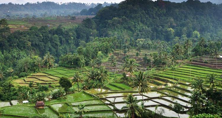 Bali, Lombok y las Islas Gili - Culture Trip 4