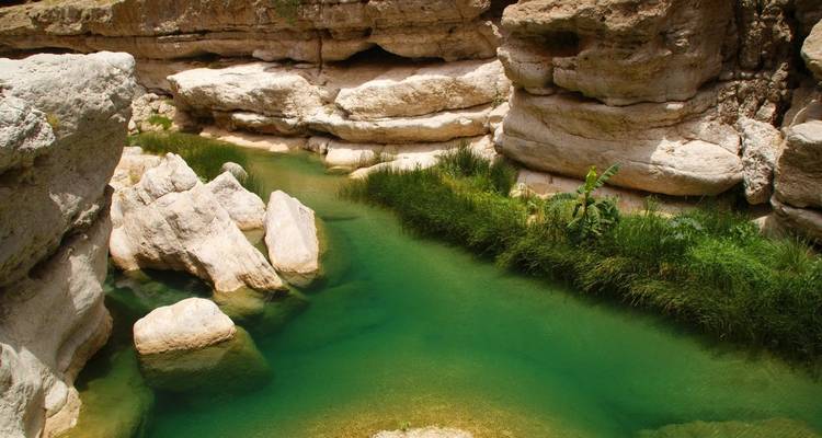 Senderismo felicidad en el techo de Arabia - DIAMIR Erlebnisreisen 10