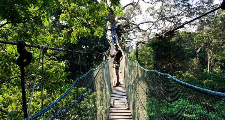 Aventure dans la jungle - Circuit de 4 jours - Réserve de Tampopata - MEGAEXPEDITIONS 4