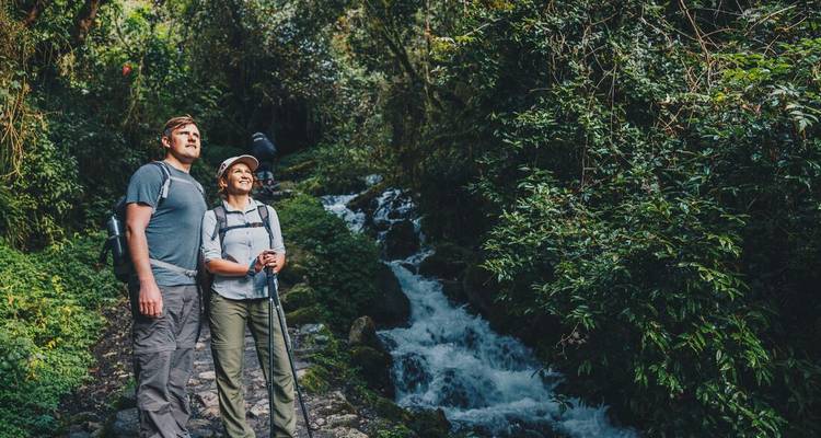 Deux personnes qui font de la randonnée le long d'un ruisseau dans la forêt.