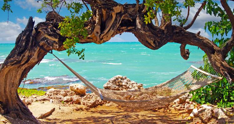 Viaje por carretera a Jamaica: el ritmo del reggae se une al sol del Caribe - journaway 7