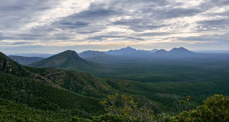 Paysage montagneux avec une vaste forêt verdoyante.