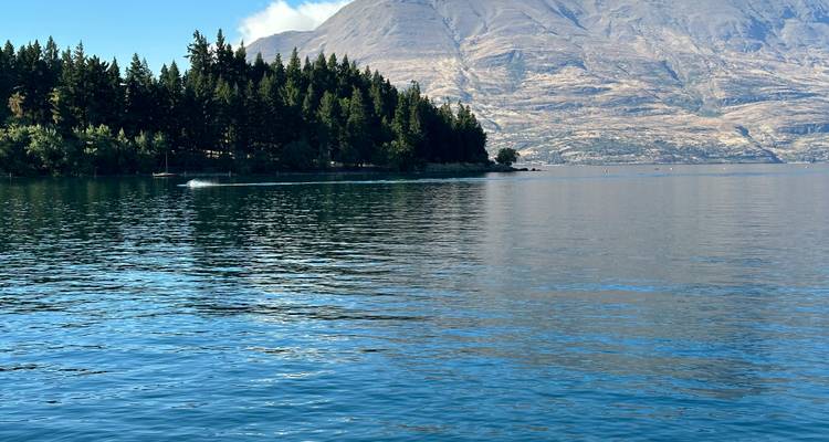Lac avec bordure boisée et montagnes au loin.